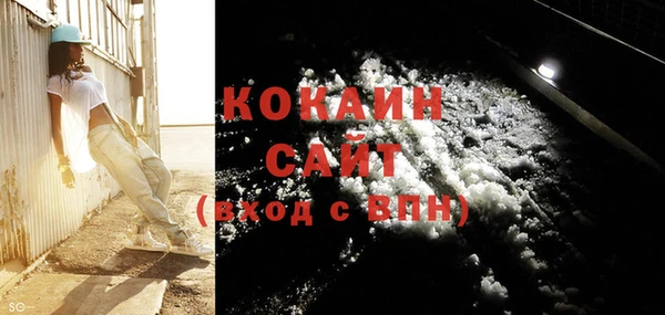 шишки Козловка