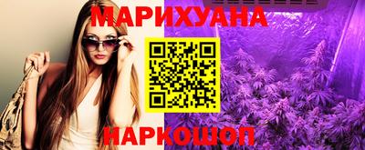 индика Дубна
