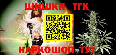 индика Дубна