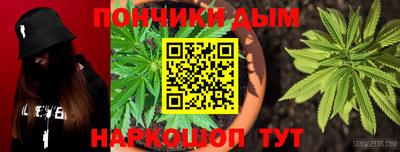 индика Дубна