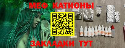 индика Дубна