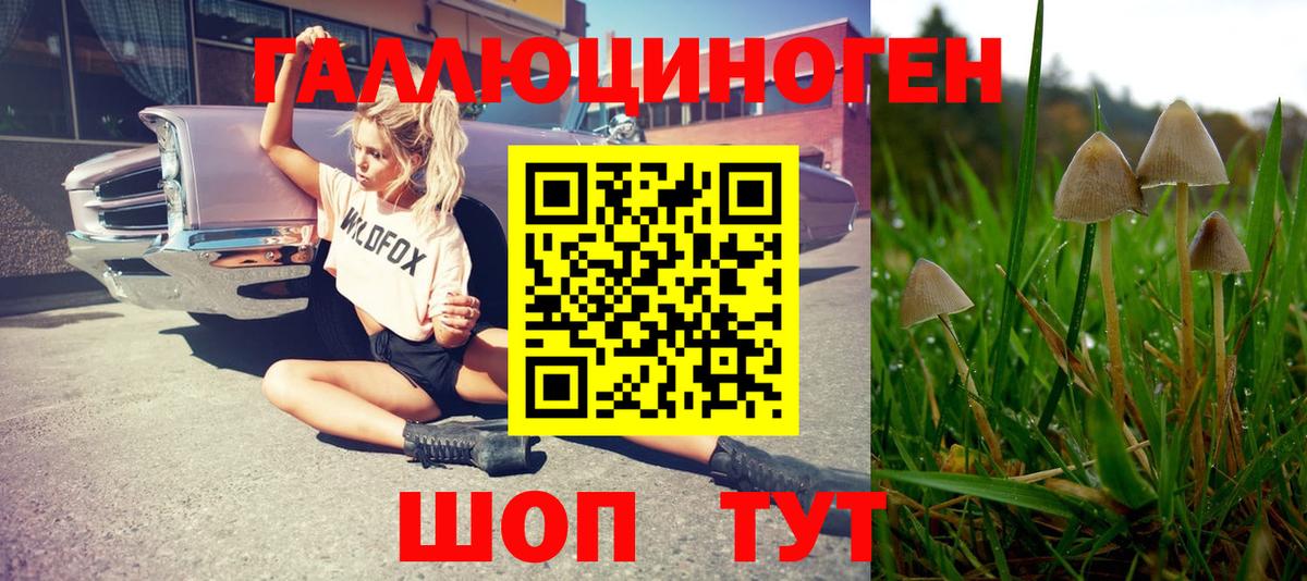 Галлюциногенные грибы мицелий Кудрово