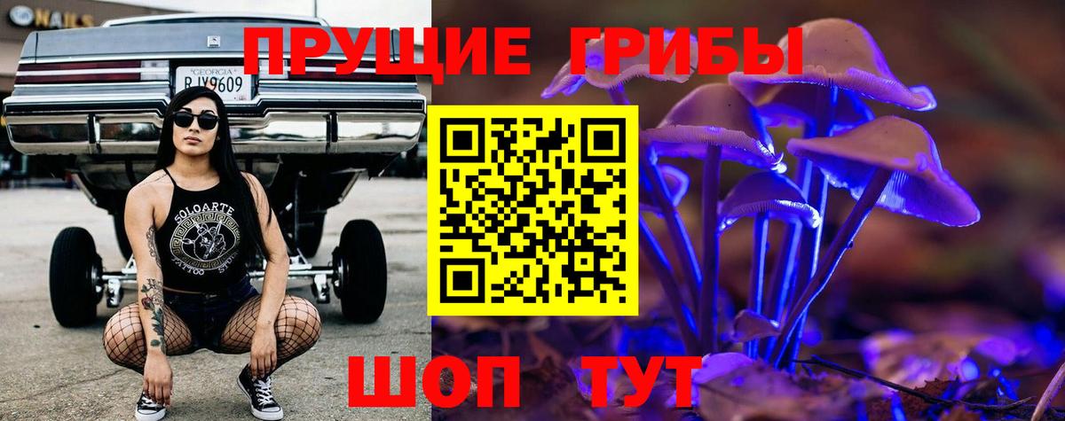 как найти закладки  Вход с VPN  Кудрово  Псилоцибиновые грибы мицелий 