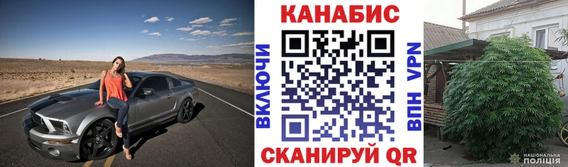 blacksprut tor что такое Кудрово Бошки марихуана план
